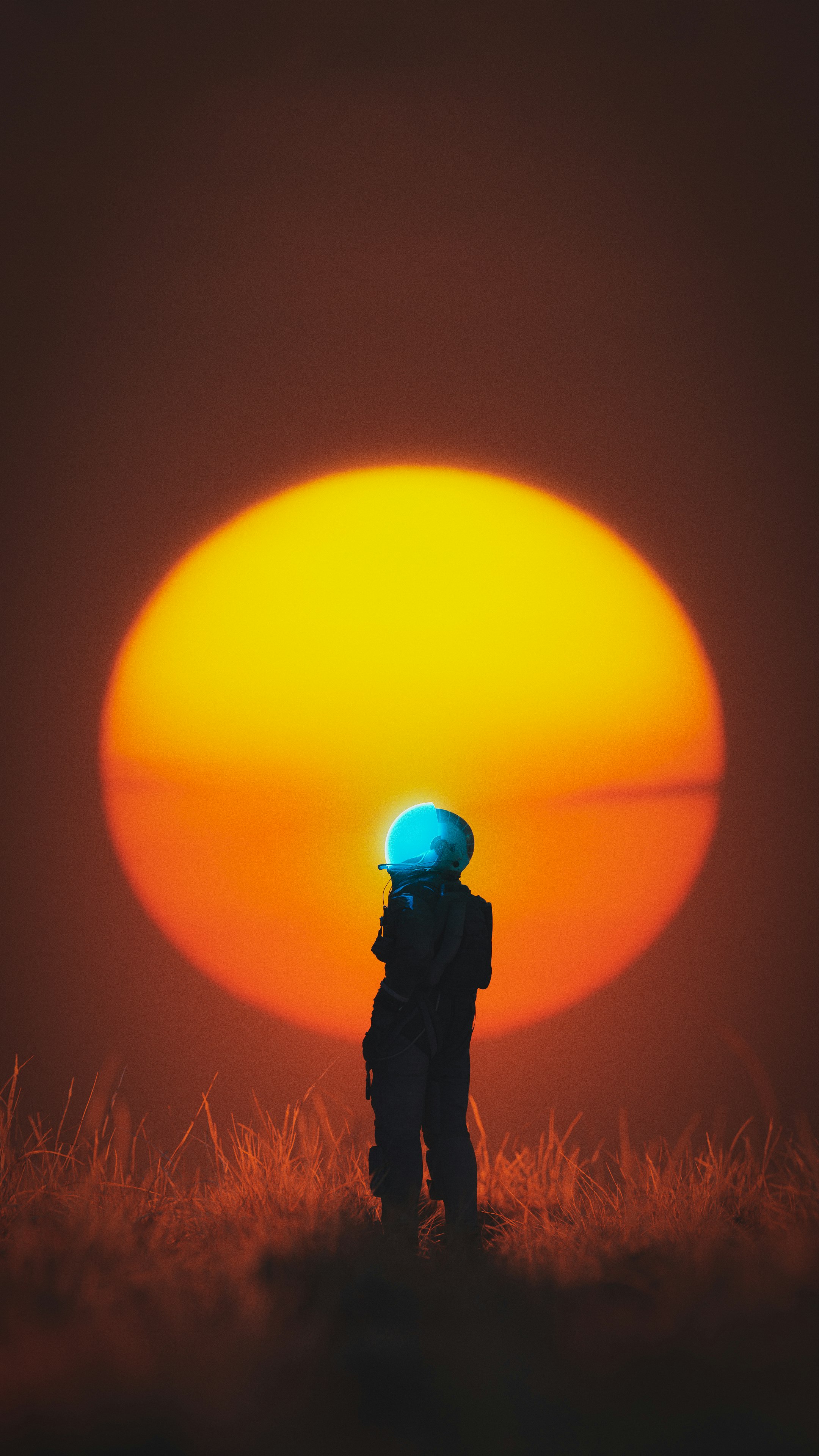 First Sunrise - Panel Wallpaper For Free