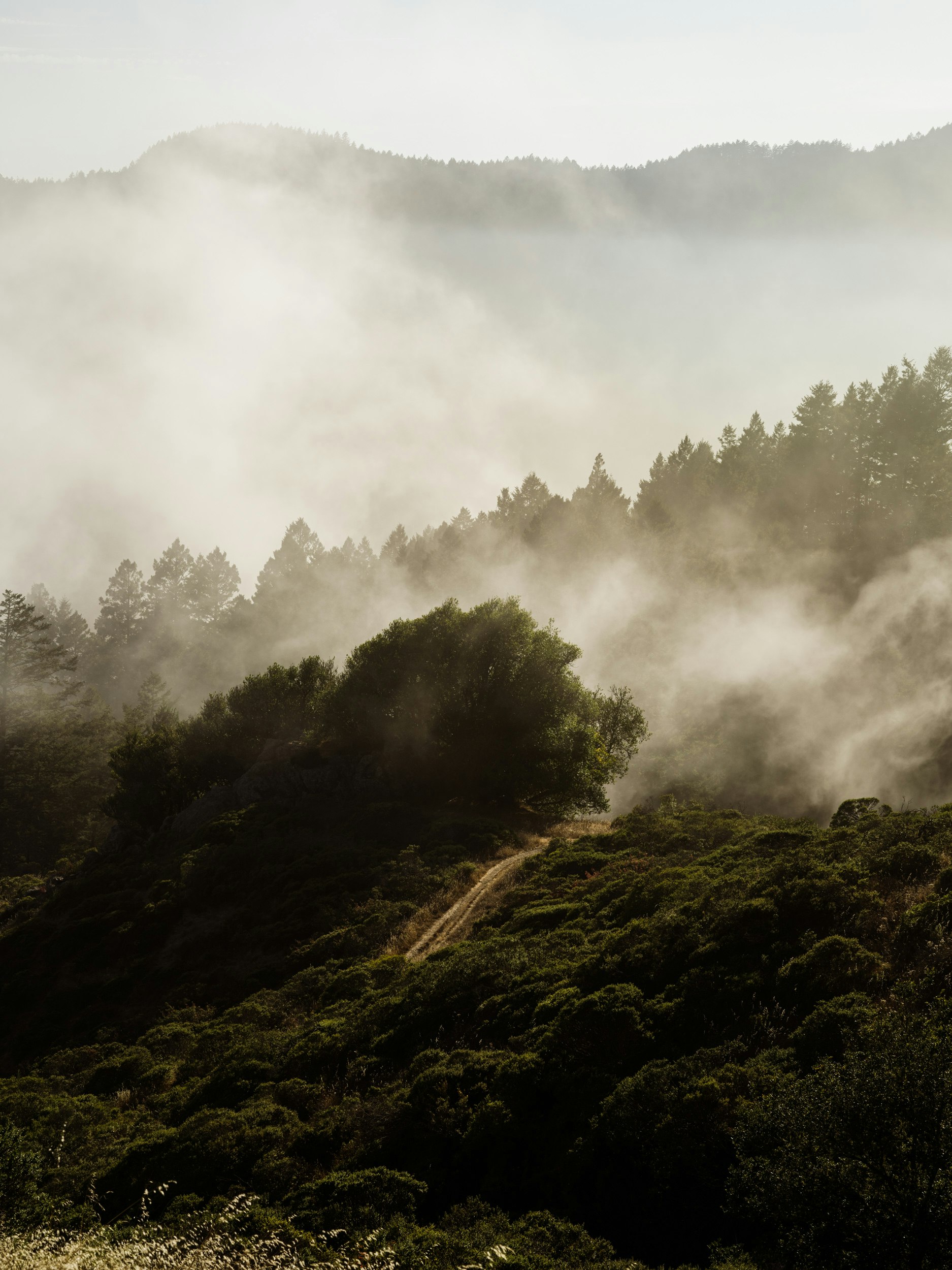 Foggy Hills - Panel Wallpaper For Free