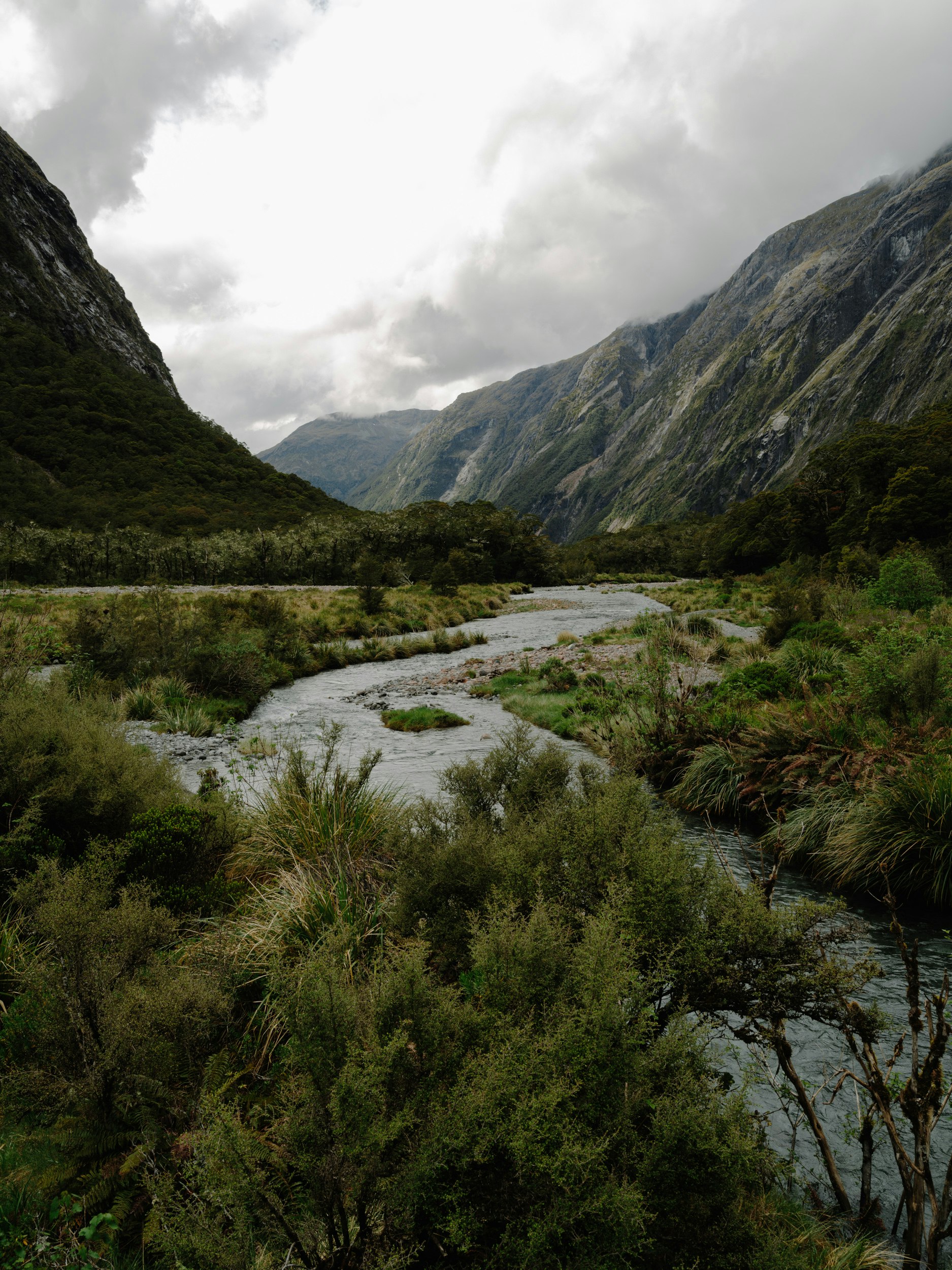 Milford Sound - Panel Wallpaper For Free