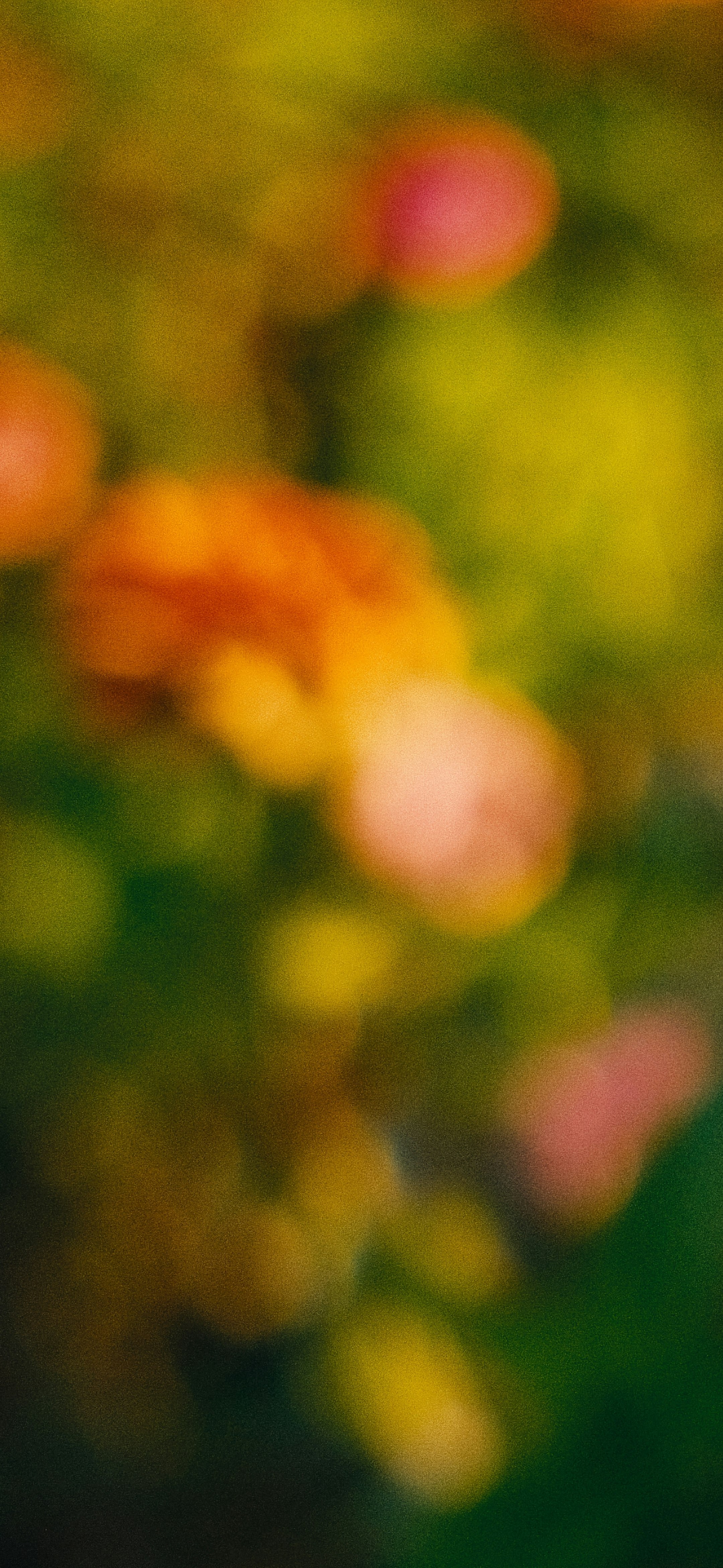 Blurry Flowers 2 - Panel Wallpaper For Free